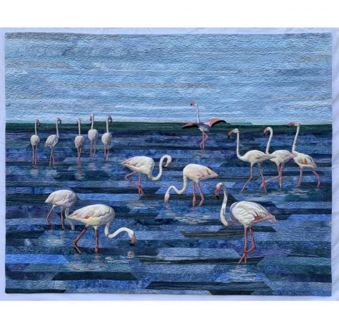 Freestate Flamingoes